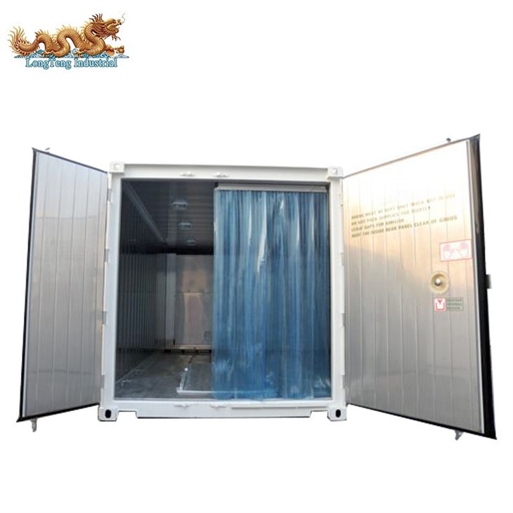 20 Feet Daikin Reefer Container best